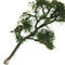 Diorama Decorations 5 Pieces