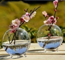 6x Ball Clear Glass Flowers Vase Bottle for Micro Landscape Fairy Garden 8cm
