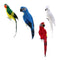 Set of 4 Feathered Realistic Parrot Home Garden Birds Decor Ornament