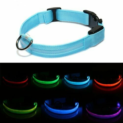 Pet Dog Puppy Cat Kitty LED Flashing Light Collar Multicolor Adjustable S