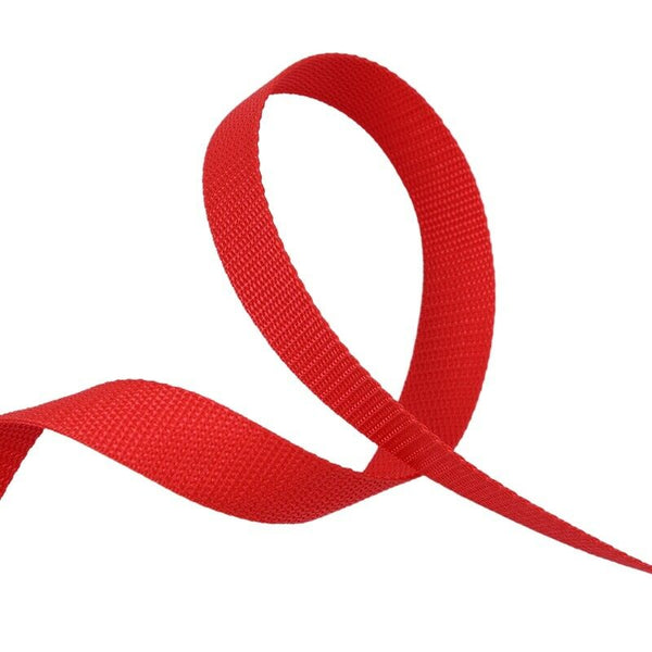 100ft 30.5 Meters Long Pet Dog Horse Training Leads Lunge Webbing Lead Rope