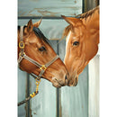 5D DIY Full Drill Diamond Painting Horse Cross Stitch Embroidery (B421)