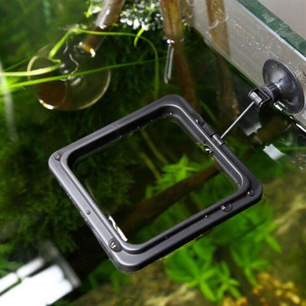 Feeding Ring Aquarium Fish Tank Station Floating Food Tary Feeder J5W5