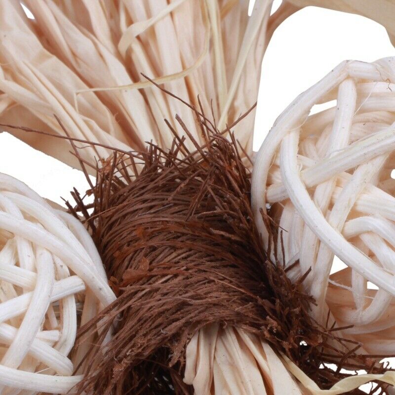 Pet Parrot Conure Cockatiel Parakeet Budgie Bird Chew Bites Swing Cages ToysA4P8