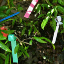 100-Piece Plastic Plant Tree Tag Markers Garden Labels Identification Cards