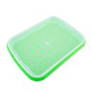 Seed Sprouter Tray Double-layer Soilless Culture Beans Hydroponic Nursery Tray
