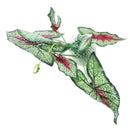 Artificial Plastic Fabric Aquascaping Plant Grass for Fish Tank Aquarium T8M7