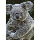 5D DIY Full Drill Diamond Painting Cute Koala Cross Stitch Decor (LG050)