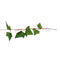 Plastic Terrarium Sweet Potato Leaves Plants Vine Ornament Landscape for