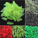 10 X Cricket Fishing Lures Grasshopper FCoft Lure Artificial FCoft FTES