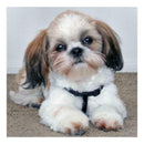 5D DIY Full Drill Diamond Painting Sad Dog Cross Stitch Embroidery Mosaic A