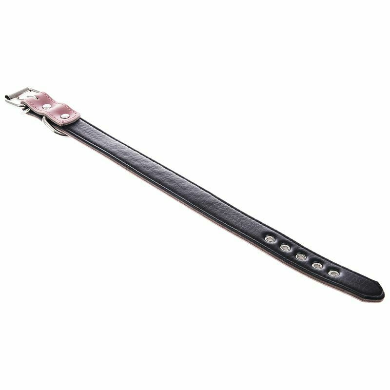 Leather Padded Rhinestone Dog Collars Bling Dog Collar Pet Collar Small Med