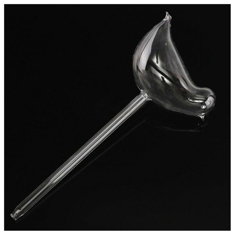 Clear Glass Plant Flower Holiday Watering Spike Stake Bird Shaped Water Fee