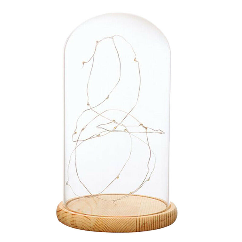 Battery Operated LED Glass Cloche Bedside Table Lamp Fairy Lights Crafts B