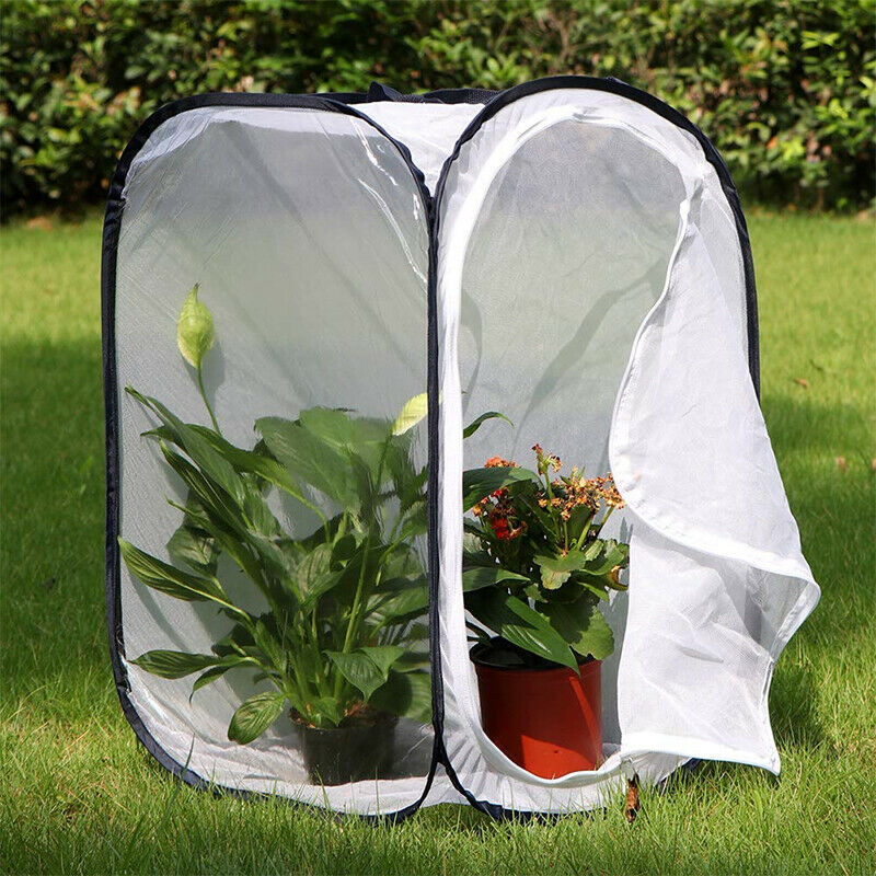 Insect and Butterfly Habitat Cage Terrarium Pop-up 23.6 Inches Tall (White  P3Y9