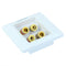 Speaker Wall Face Plate with 2+4 Golden Binding Posts Banana Plug, Pack of 4