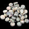 50x Guitar Accessories 6mm Multicolor Abalone Inlay Material Dots Guitar Pa