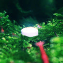 36pcs CO2 Tablets Carbon Dioxide For Plant Aquarium Fish Tank Diffuser Plant