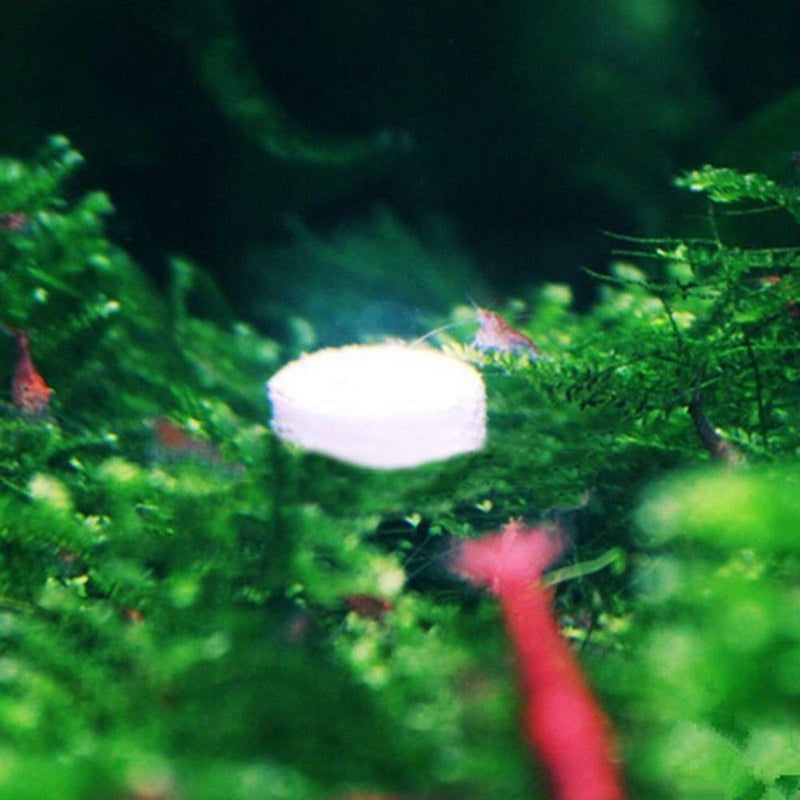 36pcs CO2 Tablets Carbon Dioxide For Plant Aquarium Fish Tank Diffuser Plant