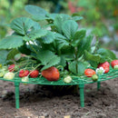 5pcs Strawberry Fruit Plant Support Holder Rack Stand Protection Garde SGK
