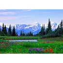 5D DIY Diamond Painting Field Flowers Full Drill Landscape Embroidery (129)