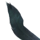 50 Beautiful cock feathers 12-18cm / 4-7inch blue K2S7
