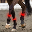 LED Horse Leg Strap Neoprene Durable Belt Night Visible Legging Decor Safety