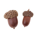 10 pieces of beautiful acorns mini dried oak nuts fruits home wedding christmas