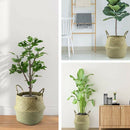 Natural Seagrass Belly Basket, 31Cm Collapsible Handmade Plant Pot Planter