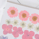 Real Dried Flower Material Dyeing Flower For Craft Phone Case DIY Accessori&+