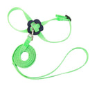 Parrot Leash Adjustable Harness Bird Anti Fly Outdoor Training Rope (Green)
