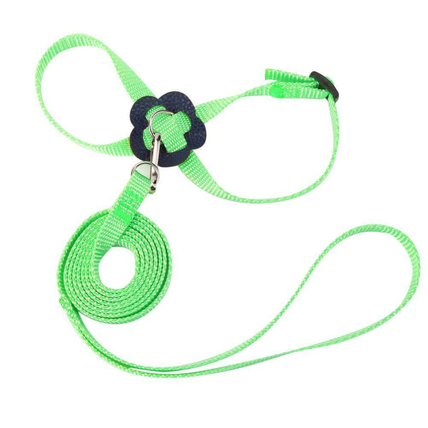 Parrot Leash Adjustable Harness Bird Anti Fly Outdoor Training Rope (Green)