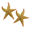 2Pcs Natural Dried Starfish Sea Star Beach Craft Wedding Party Home Decor Deluxe