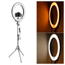 8pcs Filter for 18 inches/48 centimeters 75W 600W 5500K Ring Light and 55W