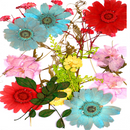 75x Dried Flowers Pressed Leaves DIY Bookmark Scrapbooking Embellishments Crafts