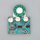 30S Key Control Sound Voice Audio Recorder Module Chip For Greeting Card