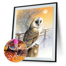 5D Diamond Nighthawk Painting DIY Embroidery Cross Stitch Kit Home Decor