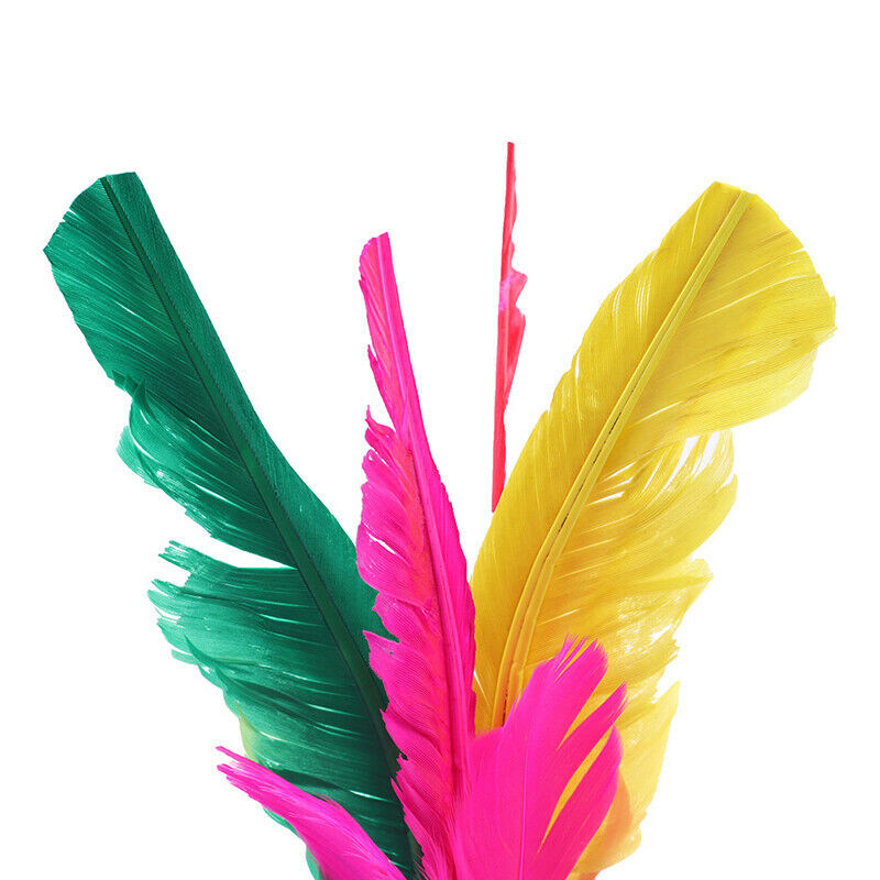 2pc China Jianzi Fancy Shuttlecock Fitness Entertainment For Physical ExercS Cy