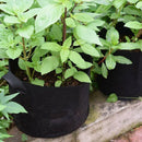 20 Gallon Grow Bags Sturdy Strap Handles Soft Permeable Breathable Non-Wove