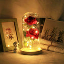Beauty Rose and Beast Led Light With Fallen Flower Petals in a Glass Dome O