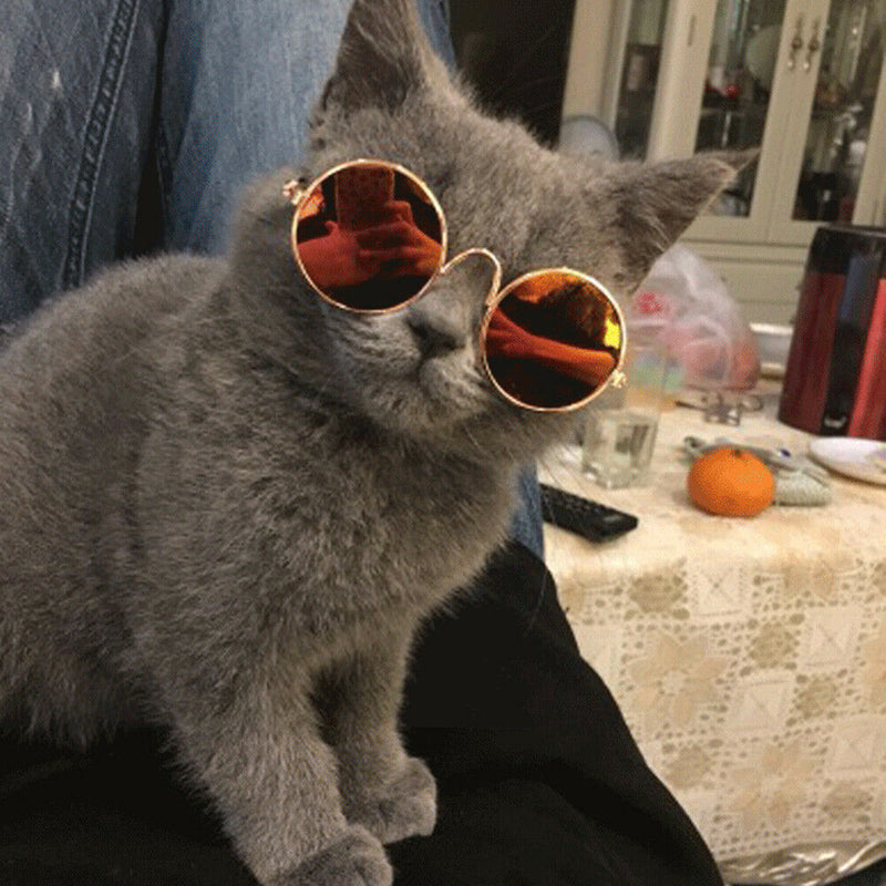 Lovely Dog Cat Glasses Pet Eye Protection Sunglasses Photos Props (Red) A