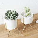 Set Of 3Pcs Ceramic Flower Planters With Iron Shelf Succulent Plant Pot Hom