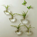 5 Pieces Hexagon Wall Hanging Plant Terrarium Glass Planter Vase, 13CM