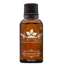 Ginger Essential Oil Plant Therapy Lymphatic Drainage Essential Massage Oil K6D3