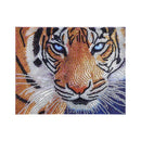 2Pcs Special Shaped Diamond Painting Animal Cat Tiger Diy 5D Diamond Painti