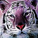 5D DIY Full Round Drill Diamond Painting Novelty Tiger Cross Stitch (B1100)