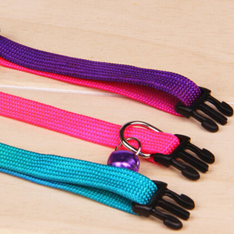 Dogs Puppy Cat Neck Strap  Lovely Adjustable Pet Collar Leash Lead Flat  Z
