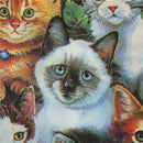 Cats Paper Napkin Festive Party Tissue Napkin Wedding Party Baby Shower Decor 3C
