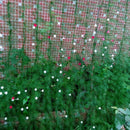 Millipore Net Climbing Frame Gardening Net Plant Fence Anti-Bird Devices