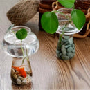 Clear Glass Vase Bottle For Plant Flower Decorations - Mushroom K2R5